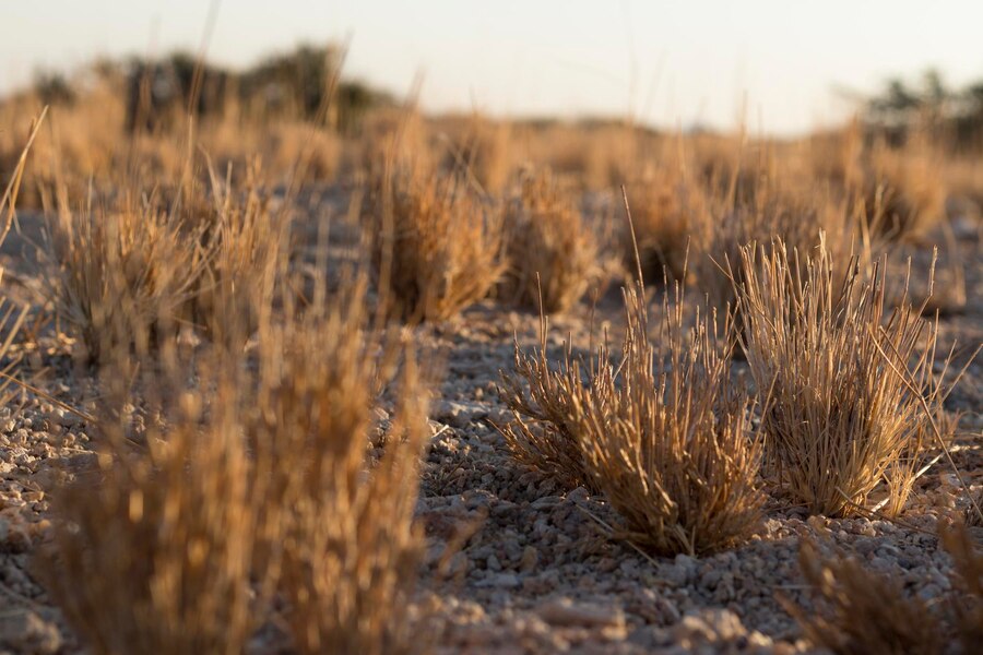 Iklim Indonesia 2025, Kapan Musim Kemarau Katanya Lebih Pendek?