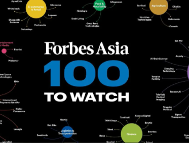 Tantangan ‘Startup Lokal vs Raksasa Global’: Melihat Tren Exit & Strategi Bertahan di Tengah Badai Digitalisasi 2025 🌐